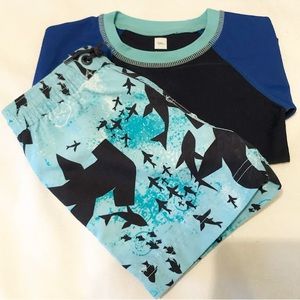 Tea Collection swimwear